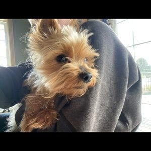 Meet your Posher, Alexandra